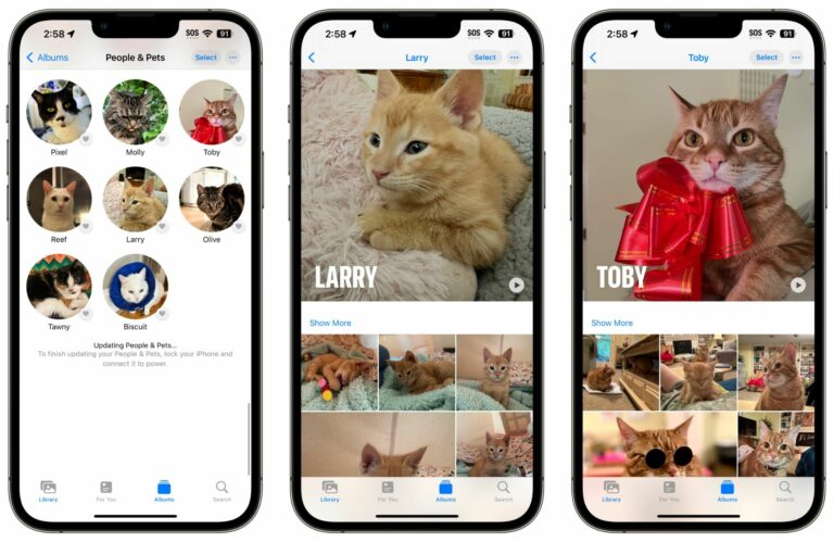 iOS 17: как назвать своих питомцев на фотографиях с помощью функции распознавания домашних животных